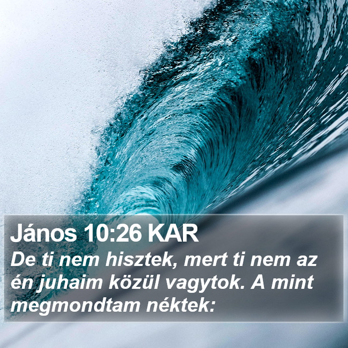 János 10:26 KAR Bible Study