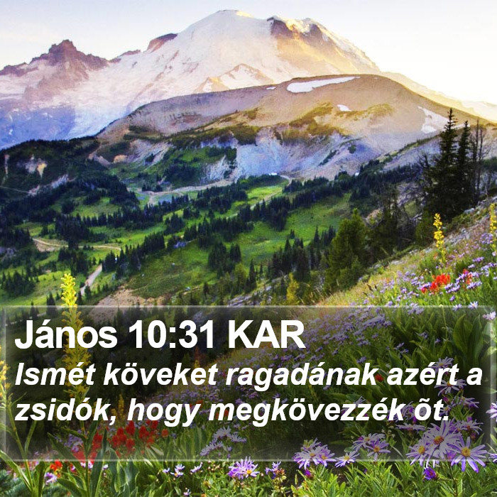 János 10:31 KAR Bible Study