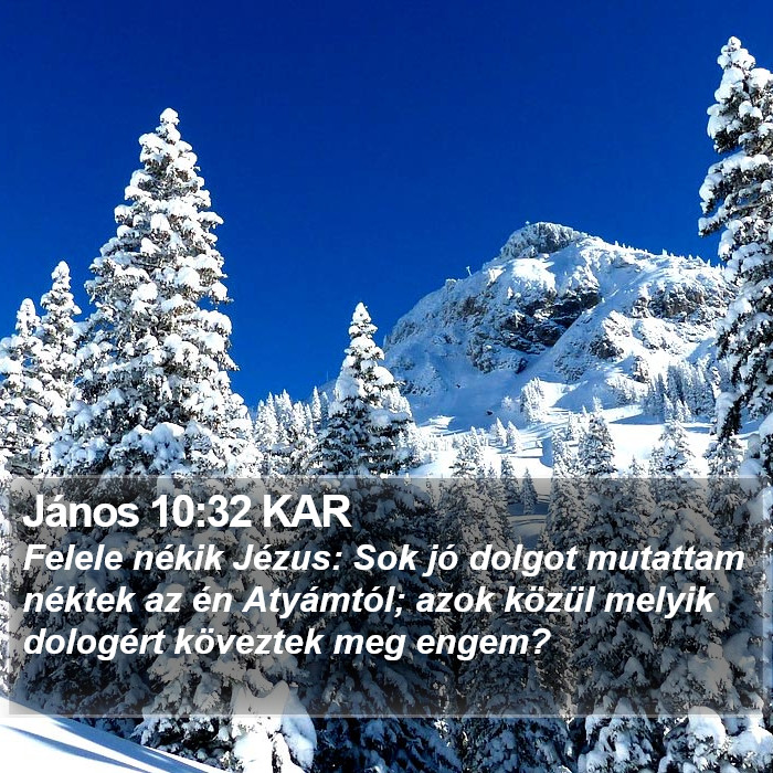 János 10:32 KAR Bible Study