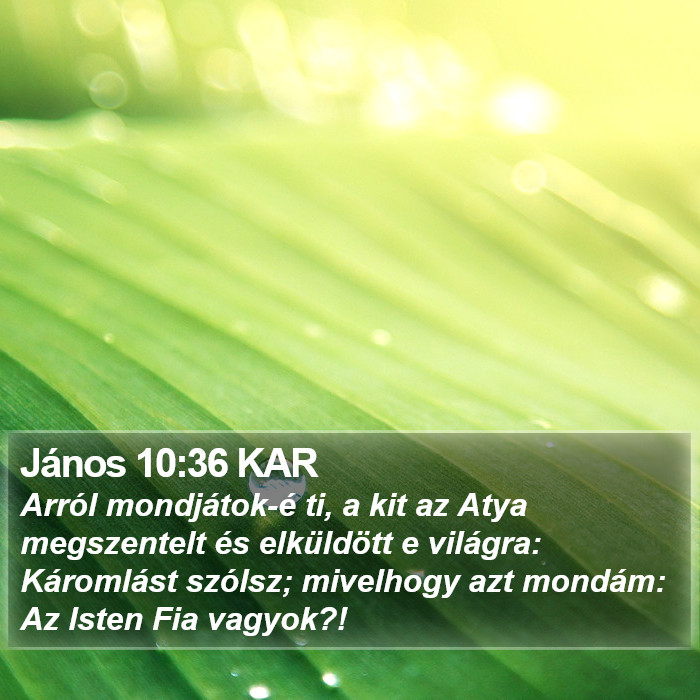János 10:36 KAR Bible Study