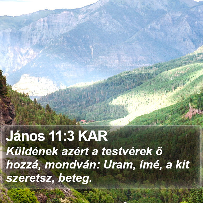János 11:3 KAR Bible Study