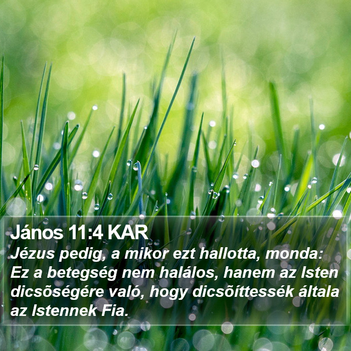 János 11:4 KAR Bible Study