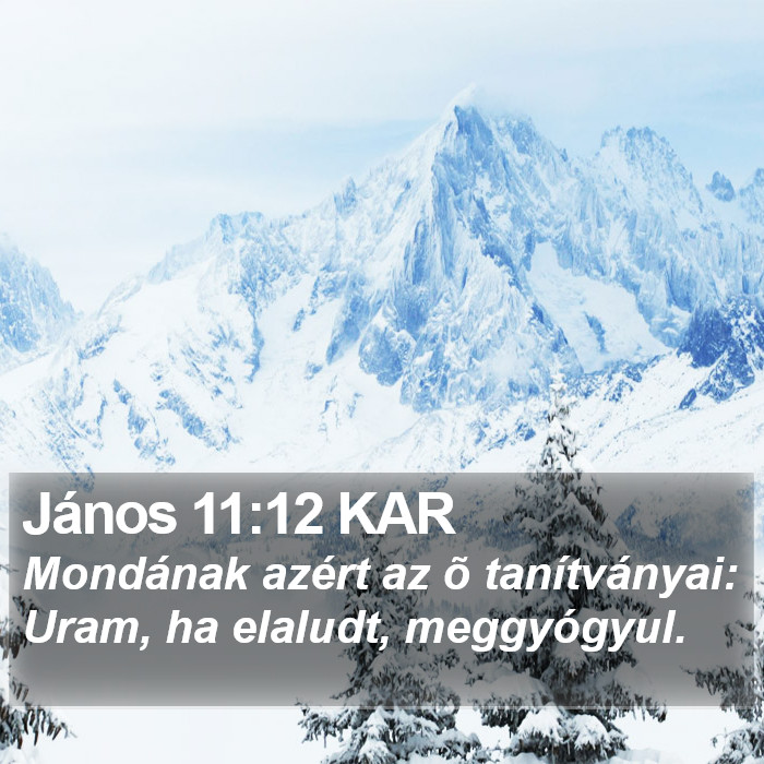 János 11:12 KAR Bible Study