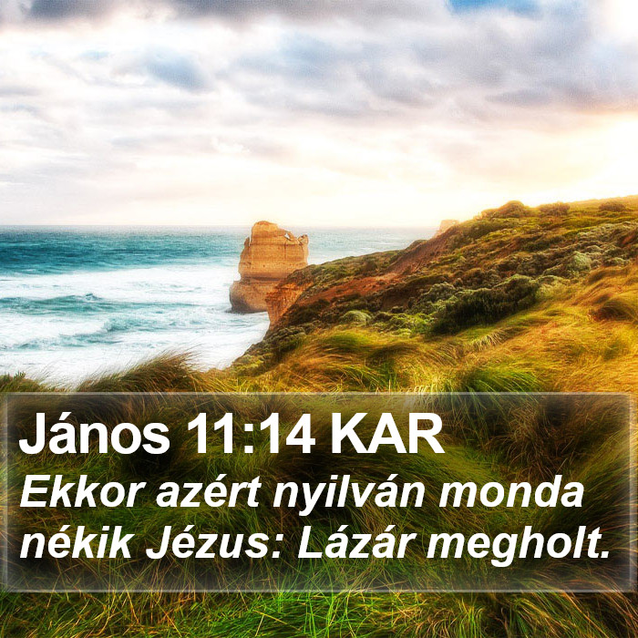 János 11:14 KAR Bible Study