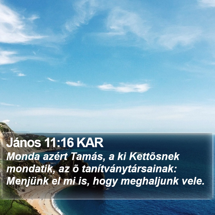 János 11:16 KAR Bible Study