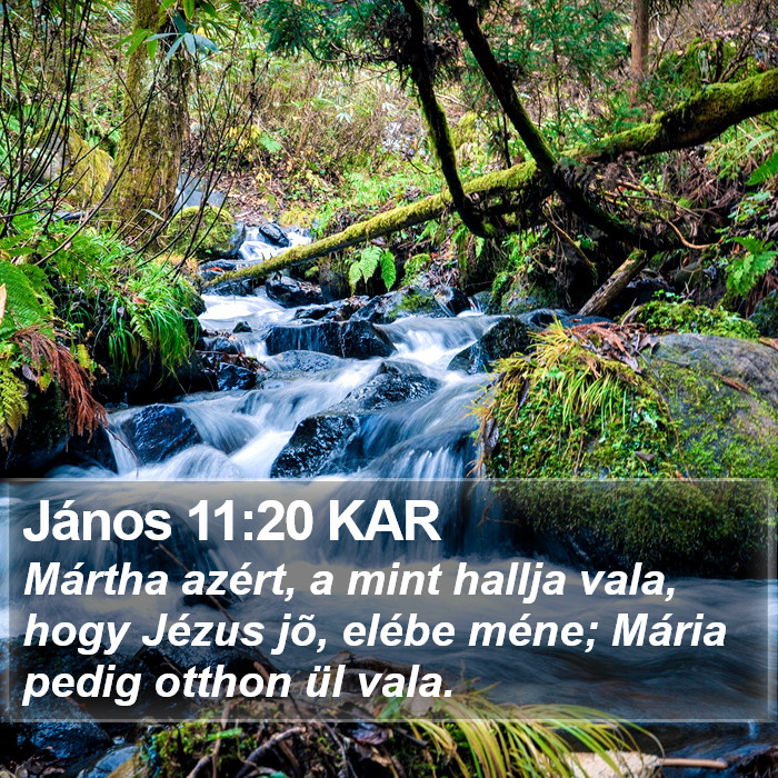 János 11:20 KAR Bible Study