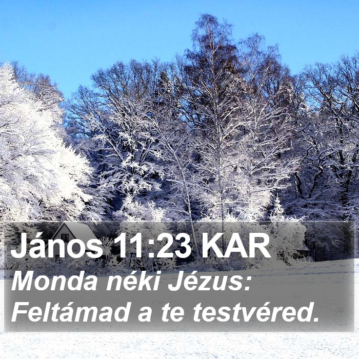 János 11:23 KAR Bible Study