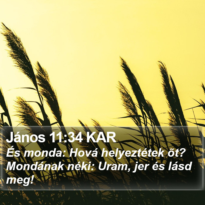 János 11:34 KAR Bible Study