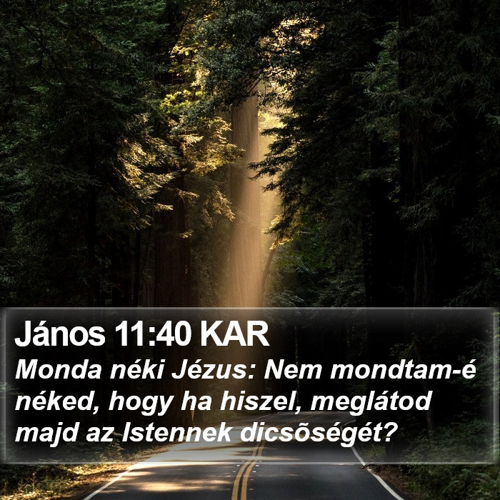 János 11:40 KAR Bible Study