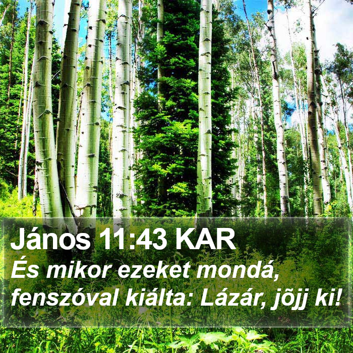 János 11:43 KAR Bible Study