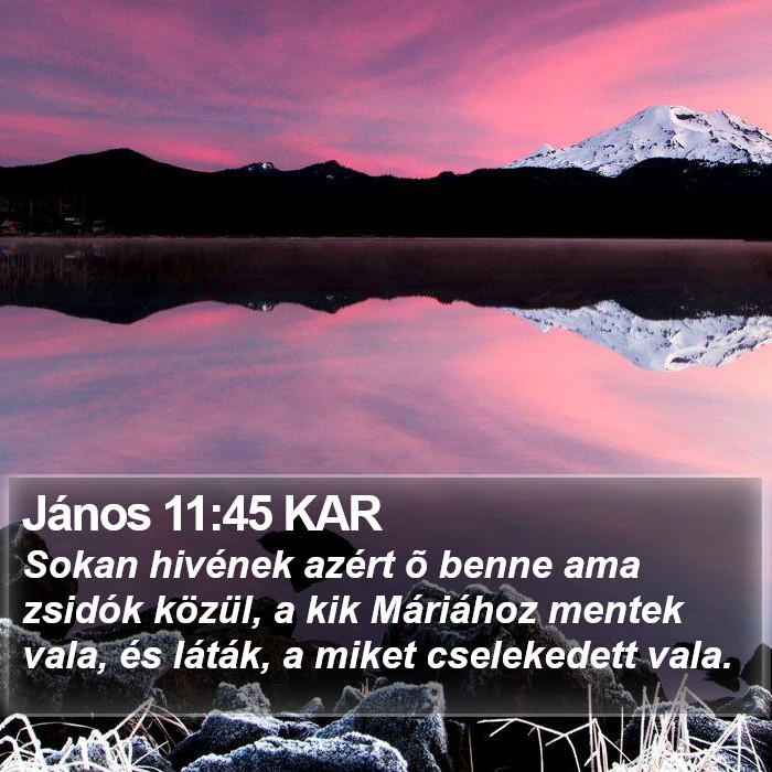 János 11:45 KAR Bible Study