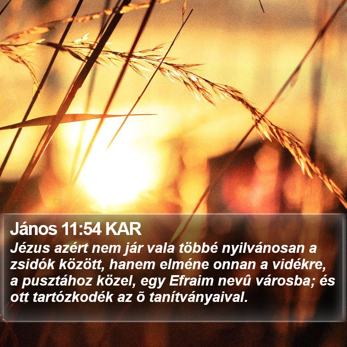 János 11:54 KAR Bible Study
