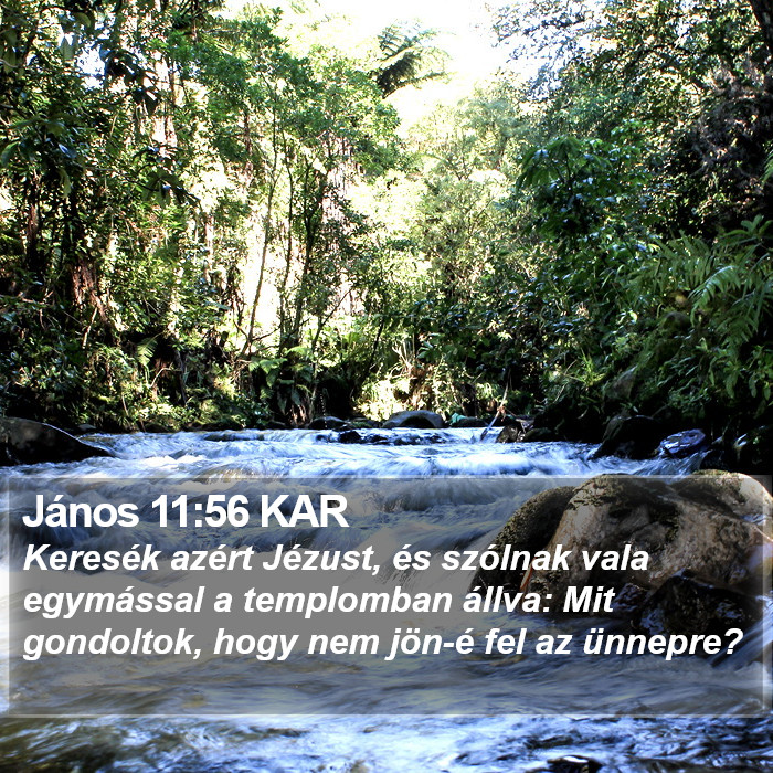 János 11:56 KAR Bible Study