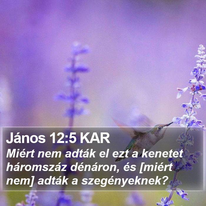 János 12:5 KAR Bible Study