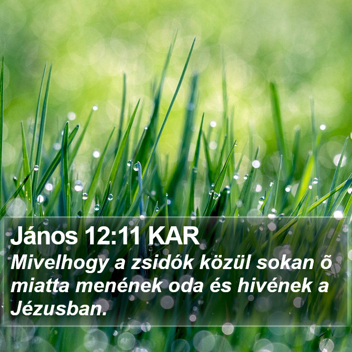 János 12:11 KAR Bible Study