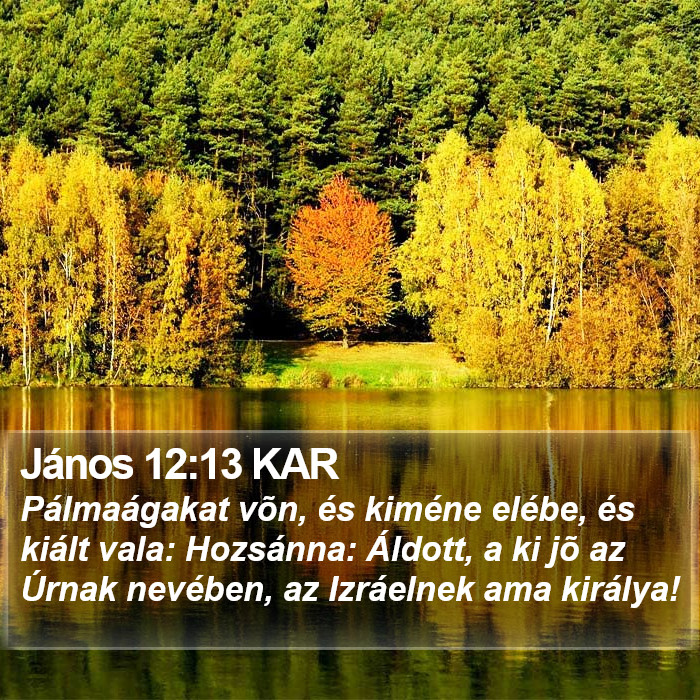 János 12:13 KAR Bible Study