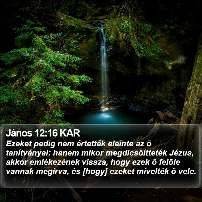 János 12:16 KAR Bible Study