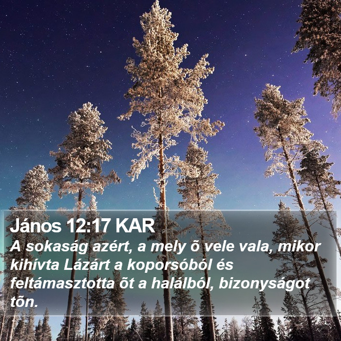 János 12:17 KAR Bible Study