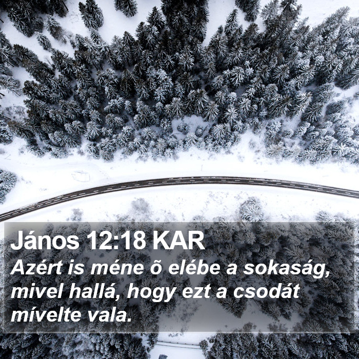 János 12:18 KAR Bible Study