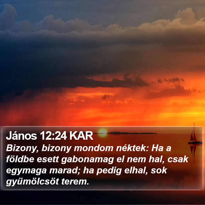 János 12:24 KAR Bible Study