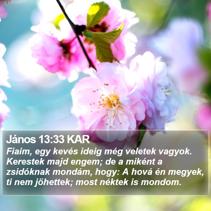 János 13:33 KAR Bible Study