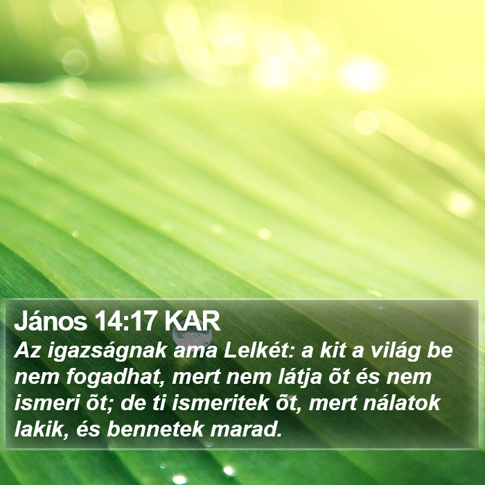 János 14:17 KAR Bible Study