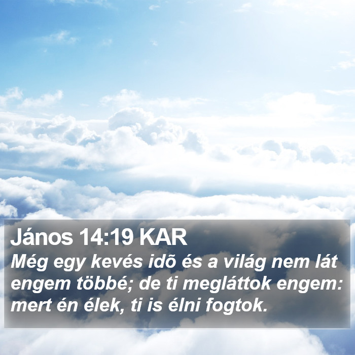 János 14:19 KAR Bible Study