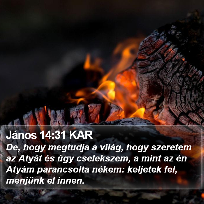 János 14:31 KAR Bible Study