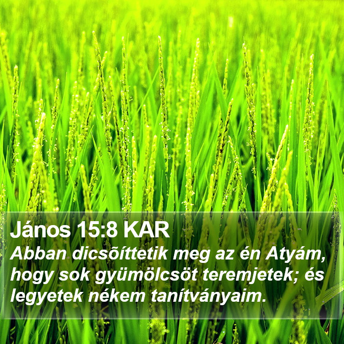János 15:8 KAR Bible Study