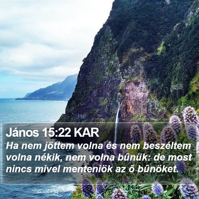 János 15:22 KAR Bible Study