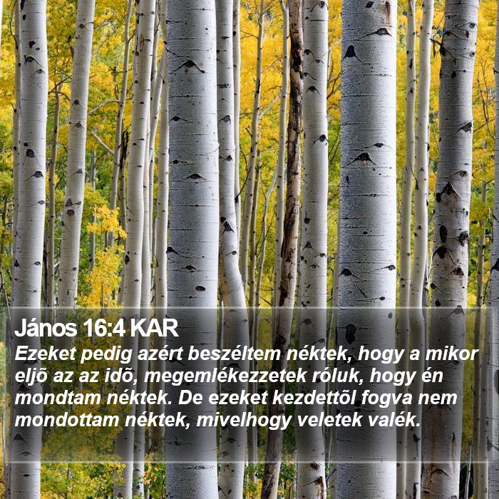 János 16:4 KAR Bible Study