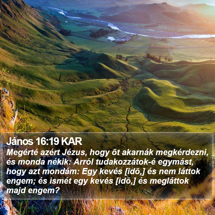János 16:19 KAR Bible Study
