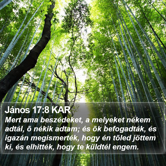 János 17:8 KAR Bible Study