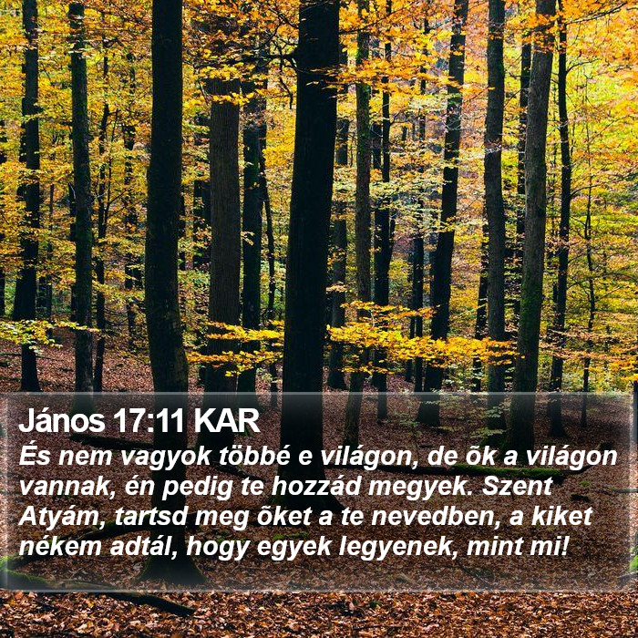 János 17:11 KAR Bible Study