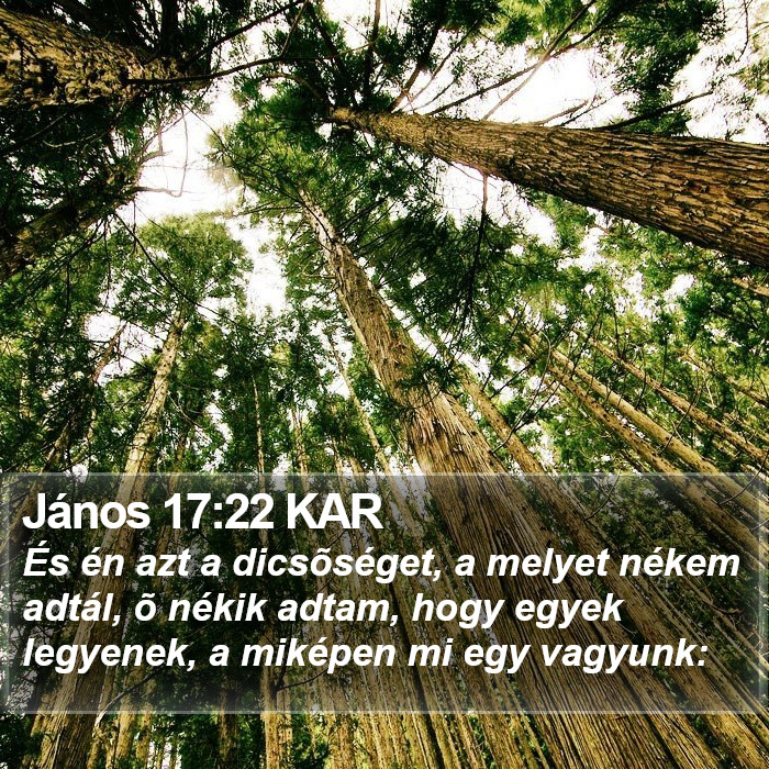 János 17:22 KAR Bible Study