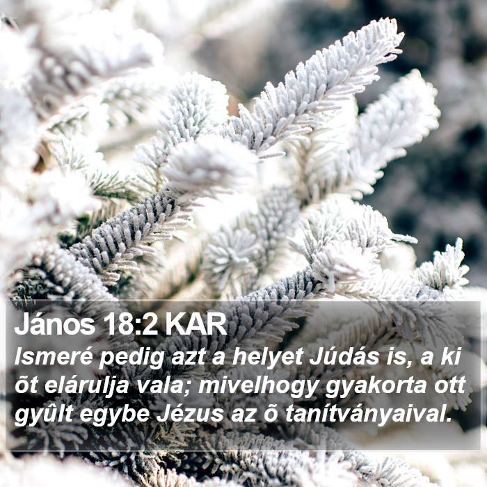 János 18:2 KAR Bible Study