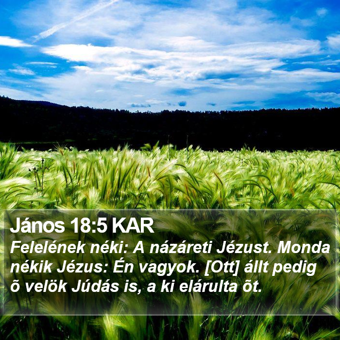 János 18:5 KAR Bible Study