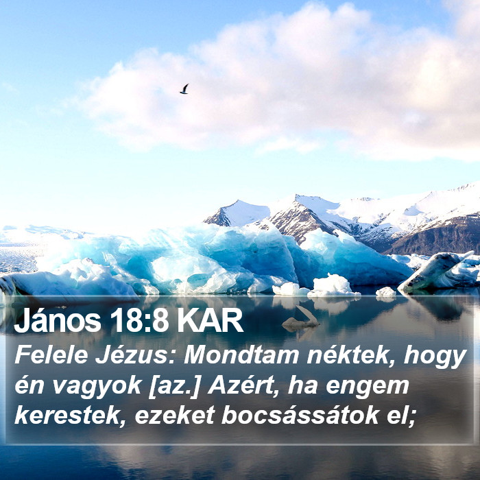 János 18:8 KAR Bible Study