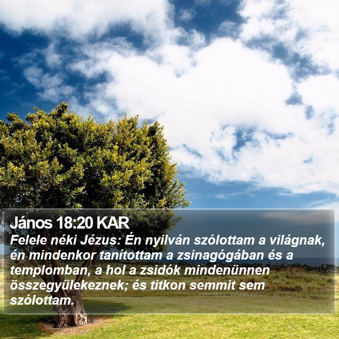 János 18:20 KAR Bible Study