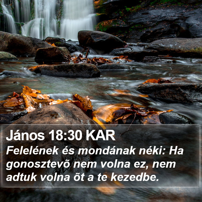 János 18:30 KAR Bible Study
