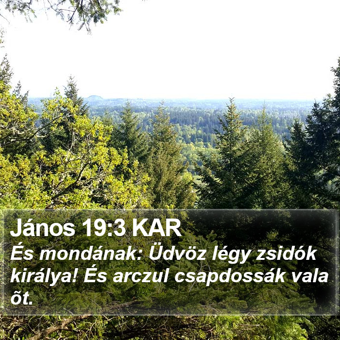 János 19:3 KAR Bible Study