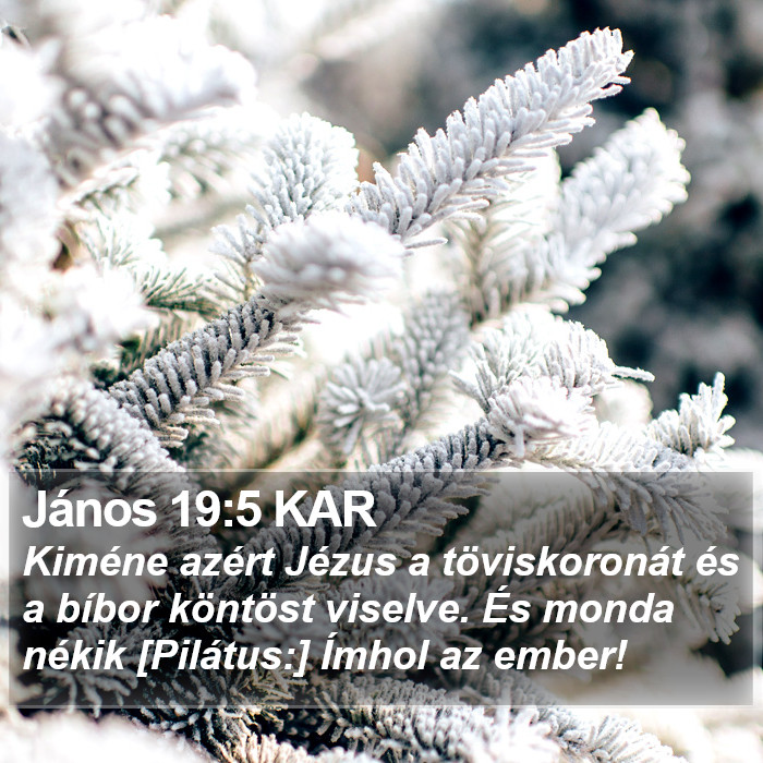 János 19:5 KAR Bible Study