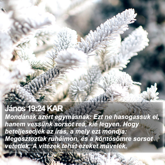 János 19:24 KAR Bible Study