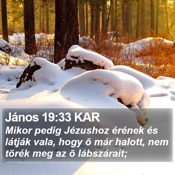 János 19:33 KAR Bible Study