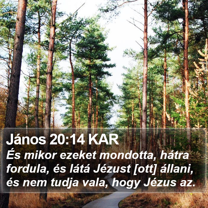 János 20:14 KAR Bible Study