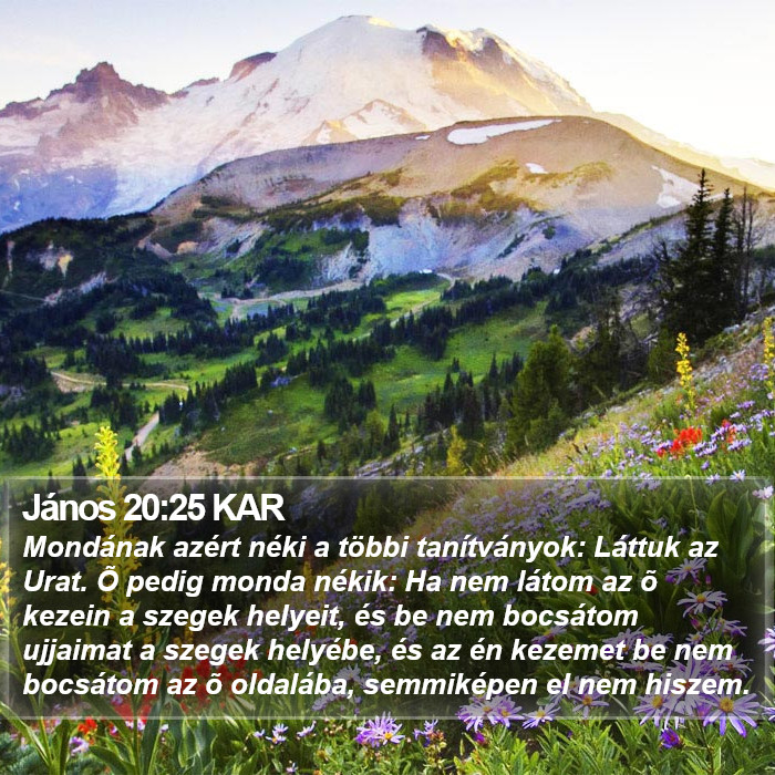 János 20:25 KAR Bible Study