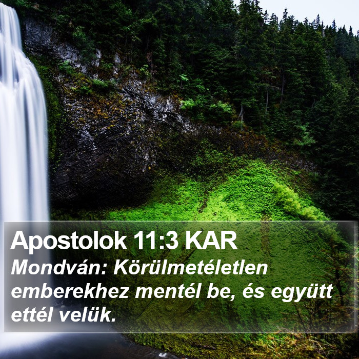 Apostolok 11:3 KAR Bible Study