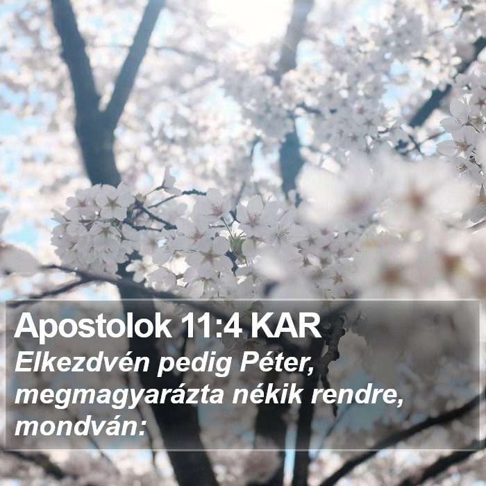 Apostolok 11:4 KAR Bible Study