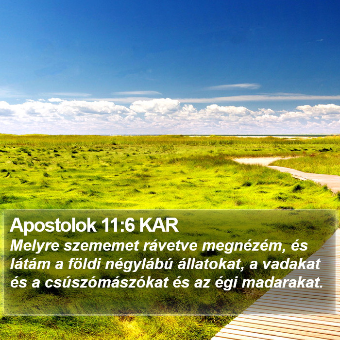 Apostolok 11:6 KAR Bible Study