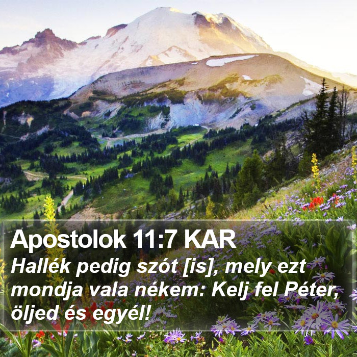 Apostolok 11:7 KAR Bible Study